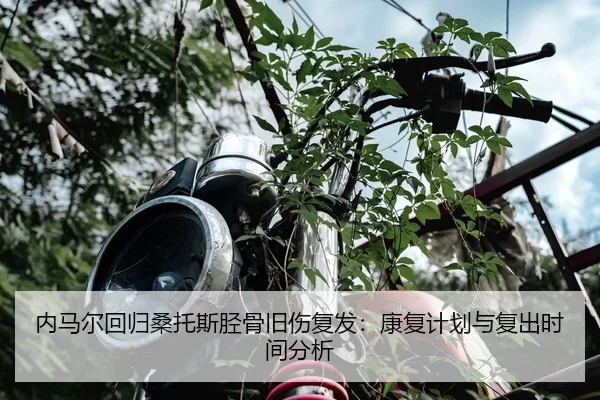 nei-ma-er-hui-gui-sang-tuo-si-jing-gu-jiu-shang-fu-fa-kang-fu-ji-hua-yu-fu-chu-shi-jian-fen-xi-2-250.jpg